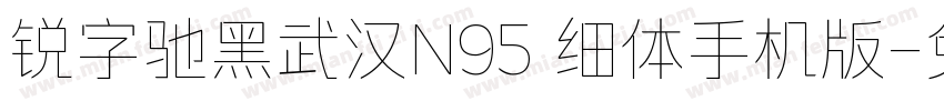 锐字驰黑武汉N95 细体手机版字体转换